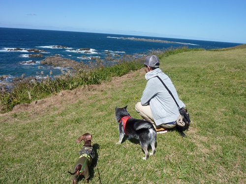 ハナチョコぶらり旅