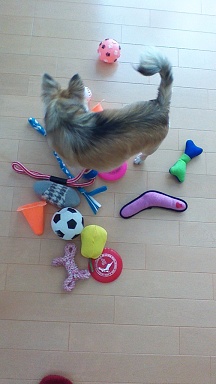 WIN_20150429_112845 2.jpg