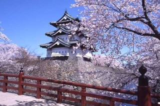 2011y02m13d_205907607-thumbnail2.jpg