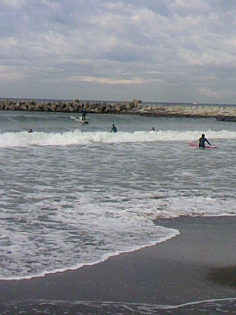 TS3Y1051.jpg