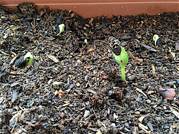 rblog-20160530172509-06.jpg