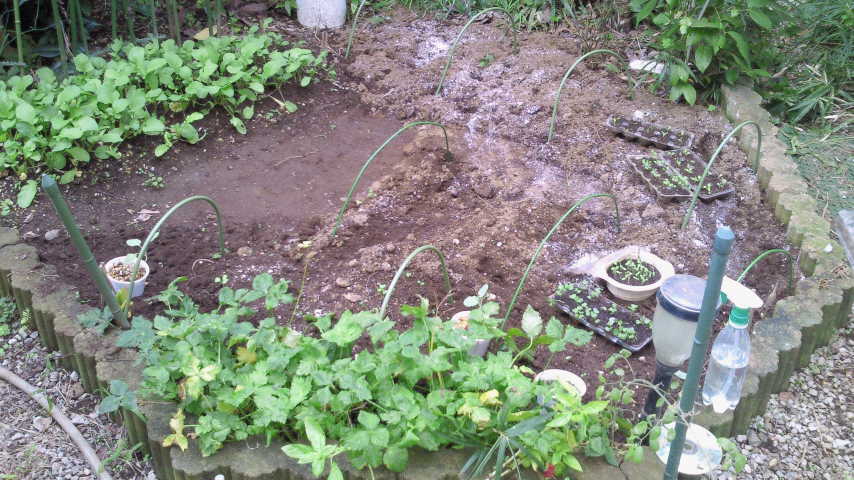 NEC_0188.jpg