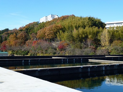 P1060332.jpg