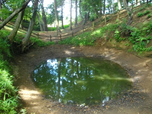 逆井城本丸空堀鐘掘池 (2) (500x375).jpg