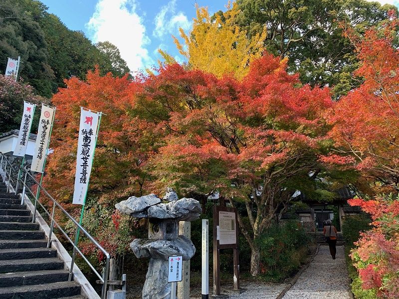 大垣の紅葉 円興寺 TOP進学塾のブログ 楽天ブログ