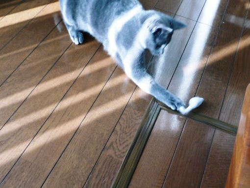 2012年12月27日_P1110152.jpg