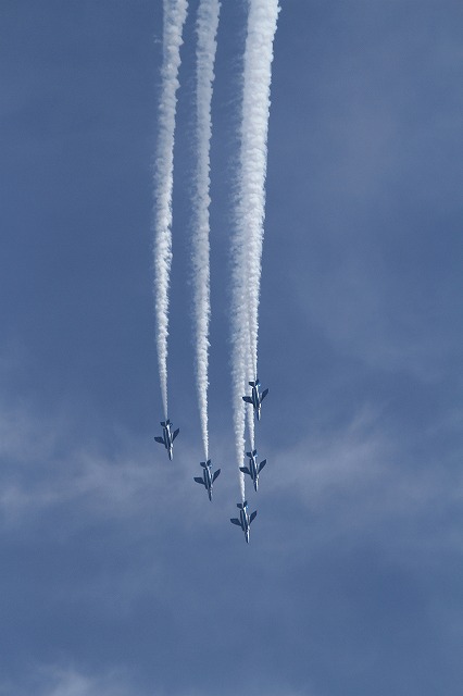 IMG_5556.jpg