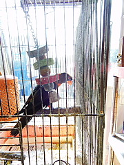 conv0531.JPG