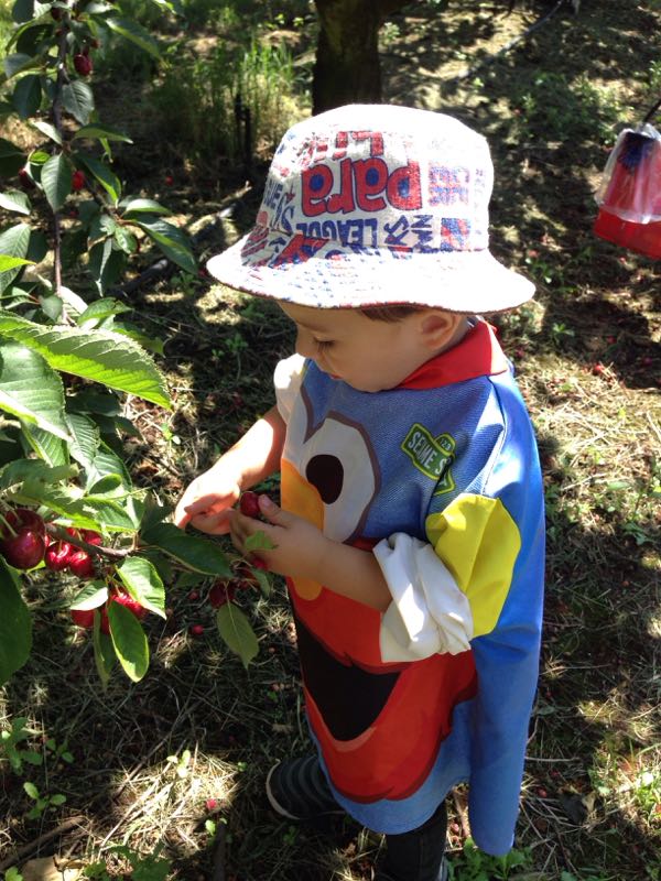 rblog-20141124132338-02.jpg