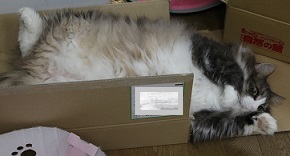 5DA_6804-26.jpg