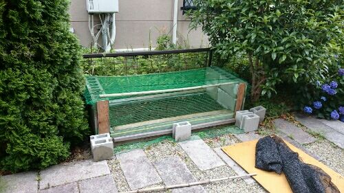 rblog-20160623192251-01.jpg