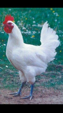 1465538322139[1].jpg