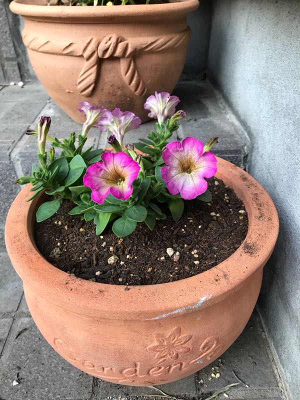 rblog-20190324174746-03.jpg