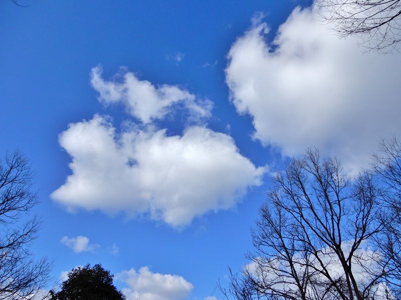 空3
