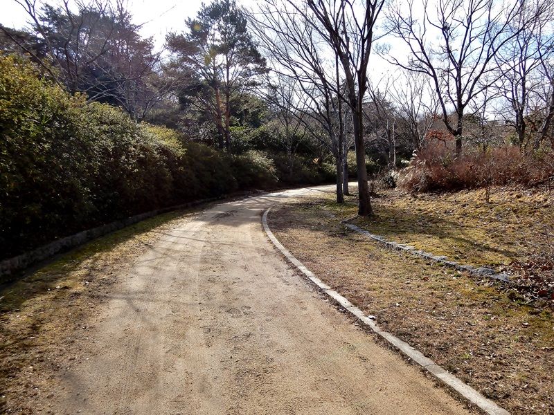 外周路1