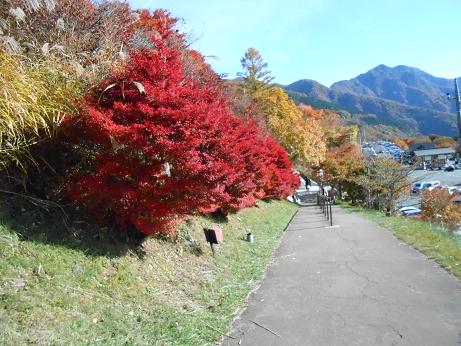 DSCN0639.jpg