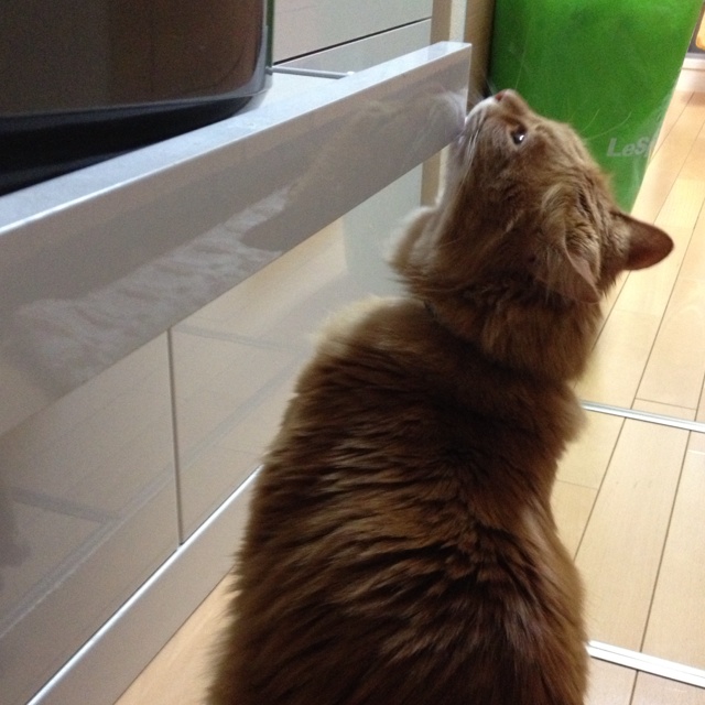rblog-20130315213421-01.jpg