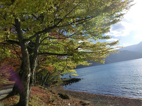 中禅寺湖
