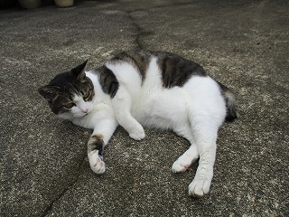 IMG_9543ss.jpg