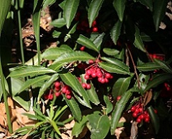 IMG_6289-1.jpg