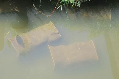 頭を垂れる稲穂の横でタナゴ釣り トラ吉 のんびりタナゴ日記 楽天ブログ