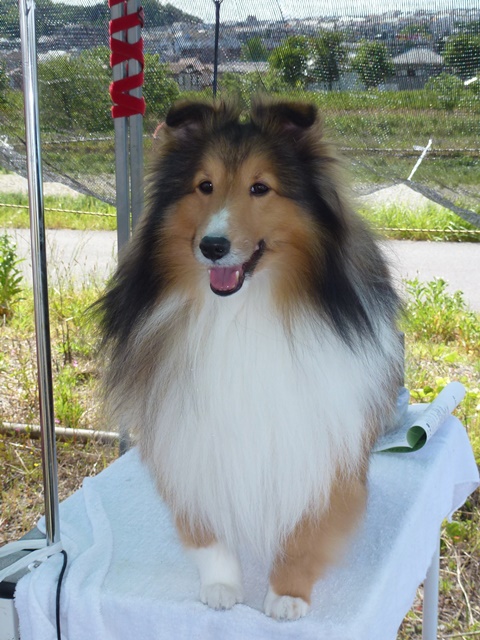 P1020446 - コピー.JPG