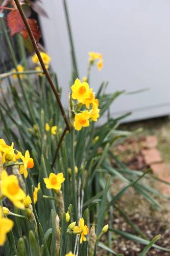 2015020802.JPG