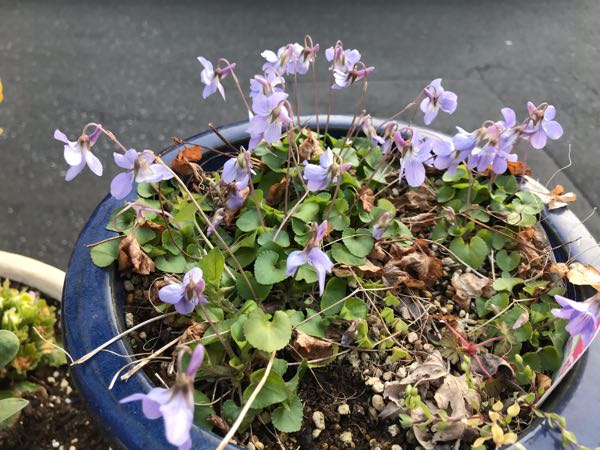 rblog-20190324174614-00.jpg
