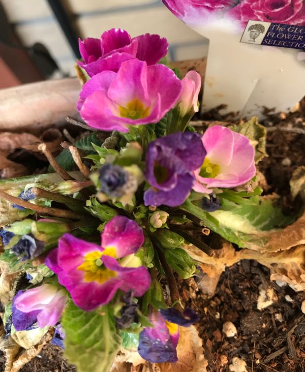 rblog-20180324203515-05.jpg