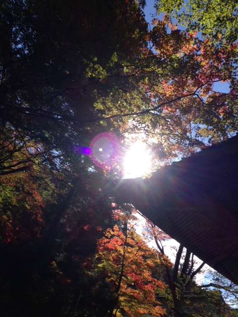 20121029harunajinjakyoboku.jpeg