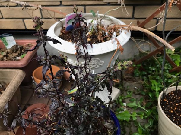 rblog-20190419194050-02.jpg