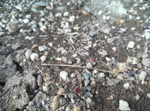 rblog-20140326083845-01.jpg