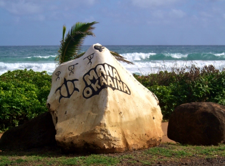 Mana Oka'aina Kealia Beach