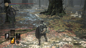 DS79.jpg