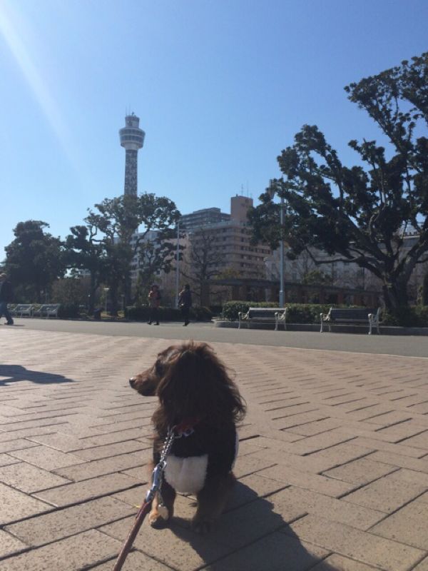 rblog-20140323182235-03.jpg