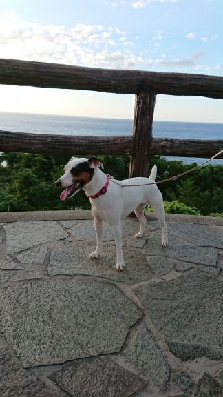 rblog-20170917115432-01.jpg