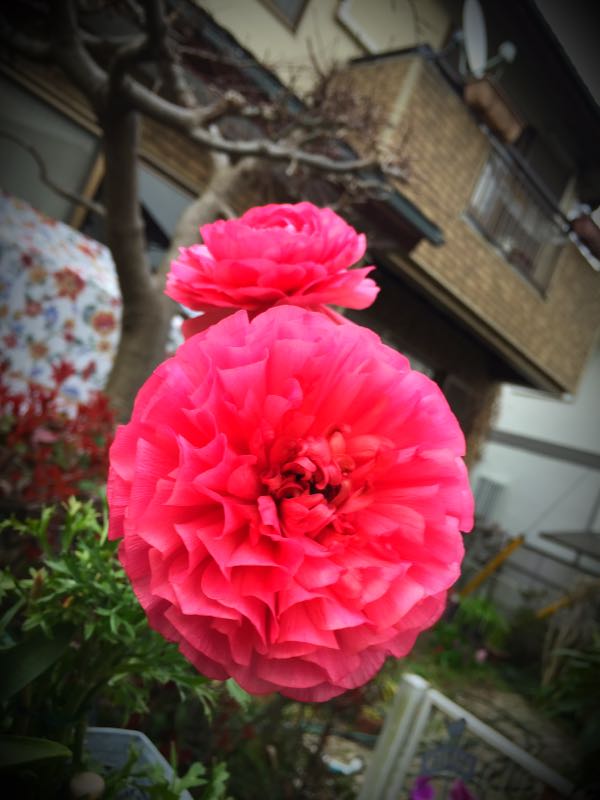 rblog-20160328170802-07.jpg
