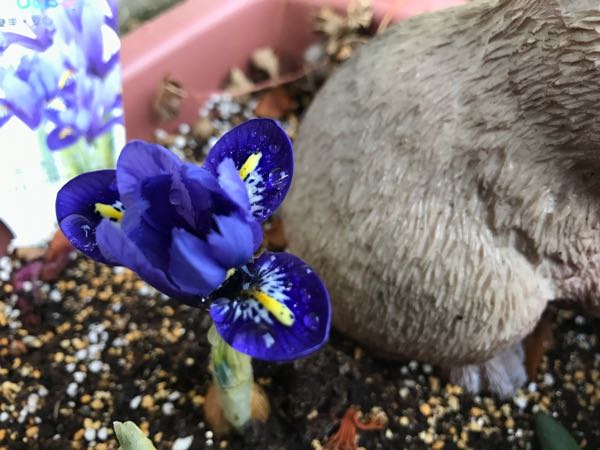 rblog-20170223222019-01.jpg