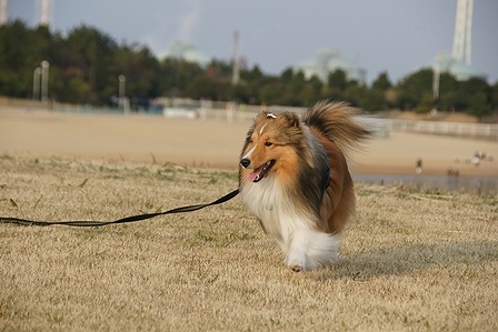DSC05085.jpg