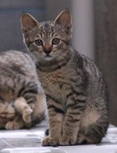 IMG_1920-18.jpg