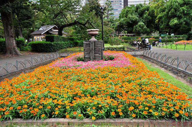 花壇１