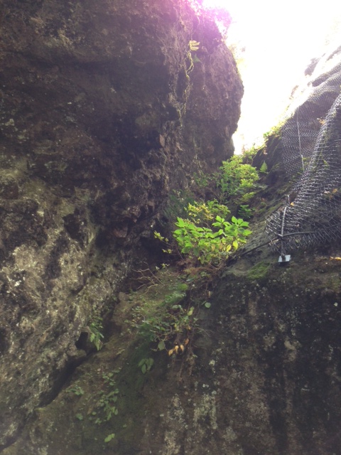 20121029harunajinjakhondou.JPG