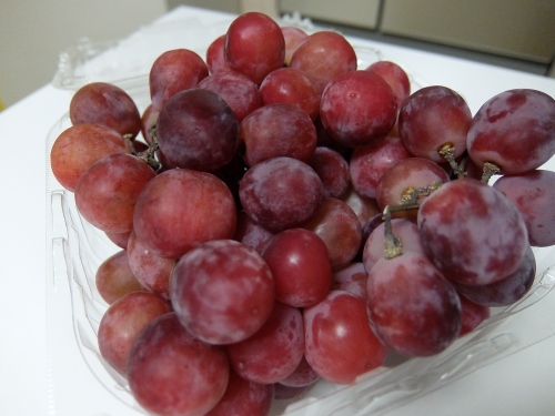コストコ　 レッドグローブ 1.3KG　798円也　ぶどう　ブドウ　葡萄