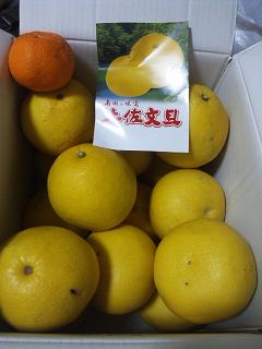 文旦DSC_0920.JPG