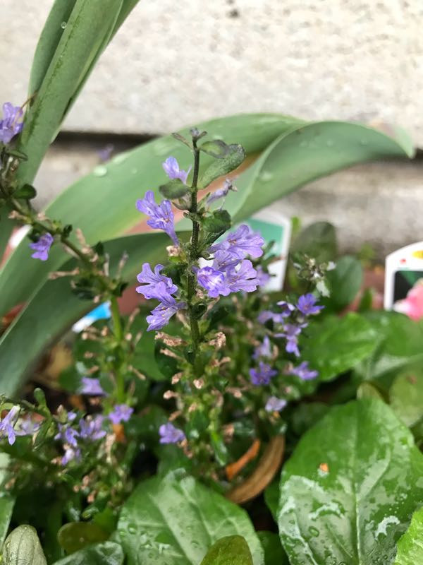 rblog-20180430175651-01.jpg