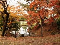 2012-11-24 12.02.16.jpg
