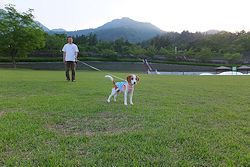 201520道の駅クラフト富士川