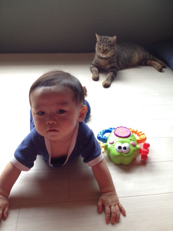 rblog-20140902233957-02.jpg