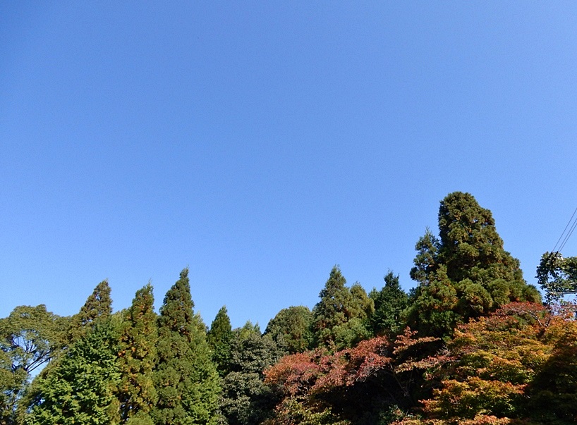 空2.JPG