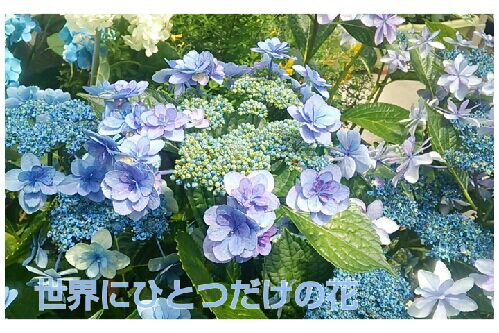 rblog-20160613211450-00.jpg